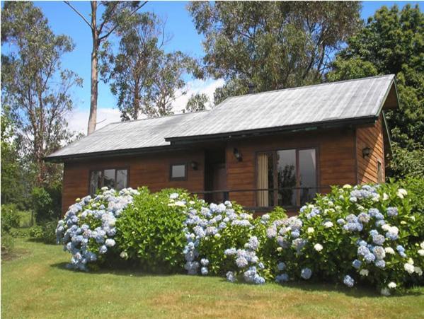 Las Juntas Ecolodge 普耶韦 外观 照片